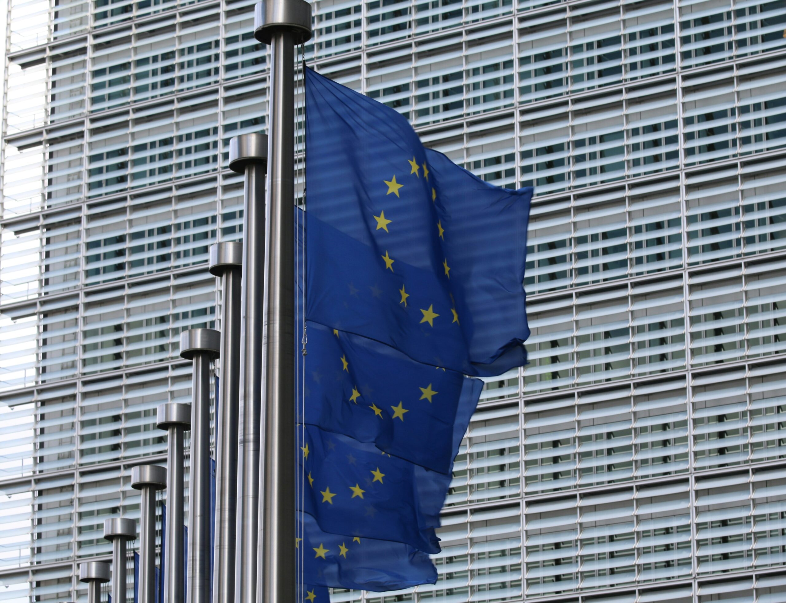 EU flages in the foreground with a steel building behind.