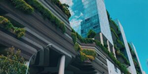 korie cull odocfzovvtc unsplash