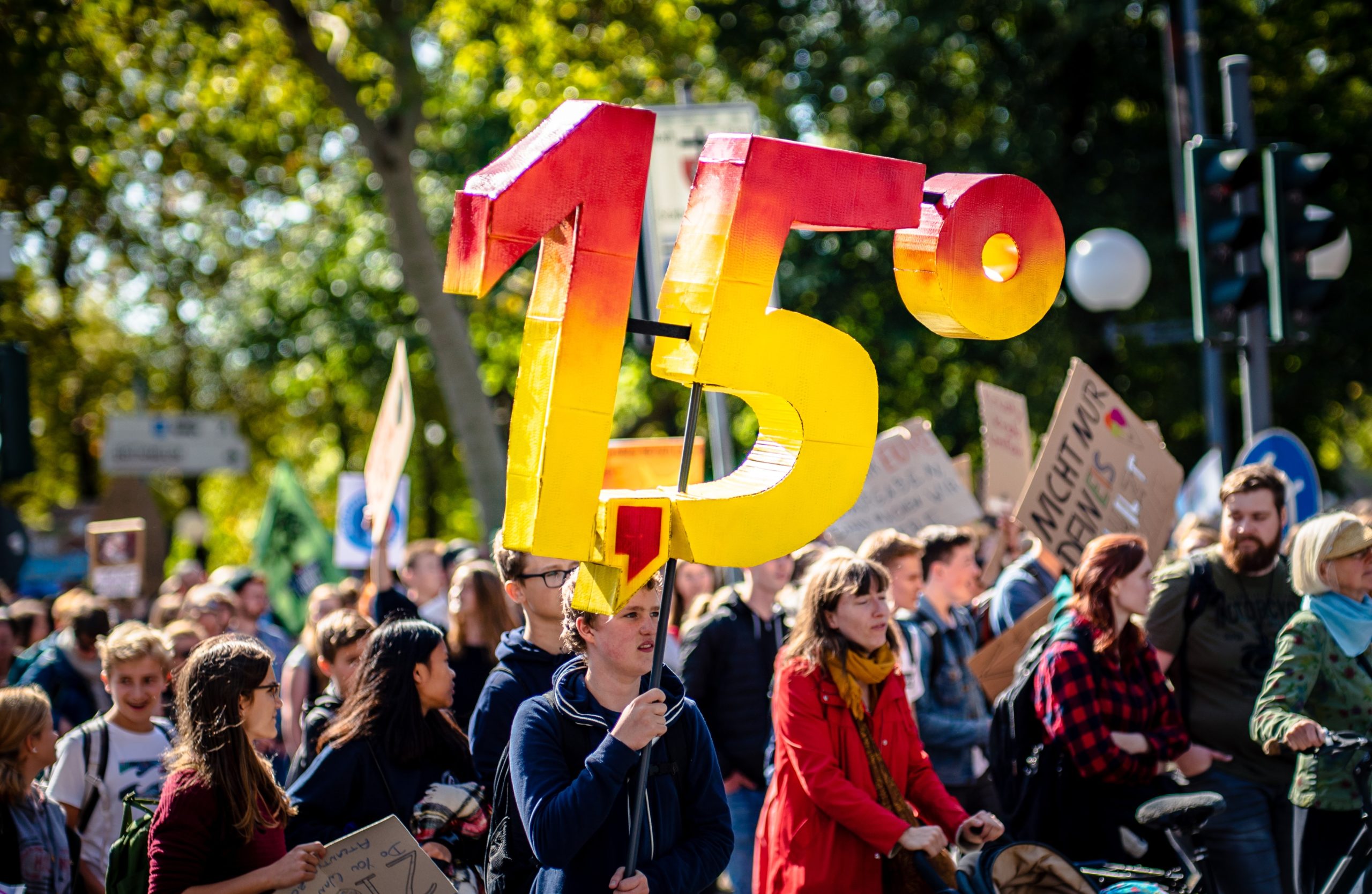 protesters at a Fridays for Future protest